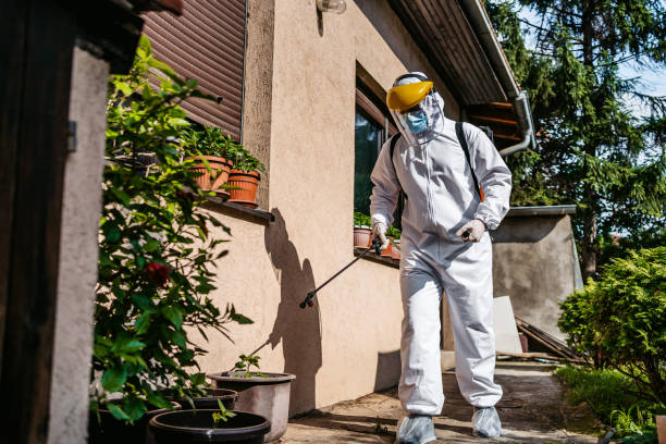 Best Best Pest Control Near Me  in Wildewood, MD
